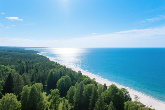 青島外貿(mào)網(wǎng)站建設(shè)核心要點(diǎn)有哪些