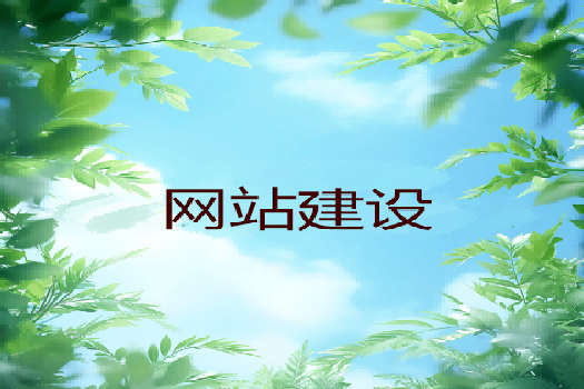 青島哪家網(wǎng)站制作公司更為專業(yè)